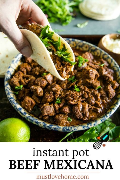 Carne Picada Instant Pot, Instant Pot Machaca Beef, Instant Pot Beef Tacos, Carne Picada Recipes Instant Pot, Instant Pot Carne Guisada, Ground Beef Instant Pot Recipes, Latina Kitchen, Mexican Food Recipes Beef, Beef Round Steak