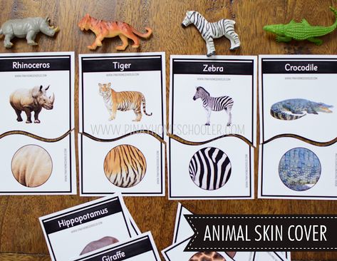 Animals Of The World Activities, Wild Animals Montessori Activities, Wild Animals Theme Table Preschool, Animal Learning Activities, Zoo Preschool, Animal Table, Tame Animals, Homeschool Hacks, Animal Learning