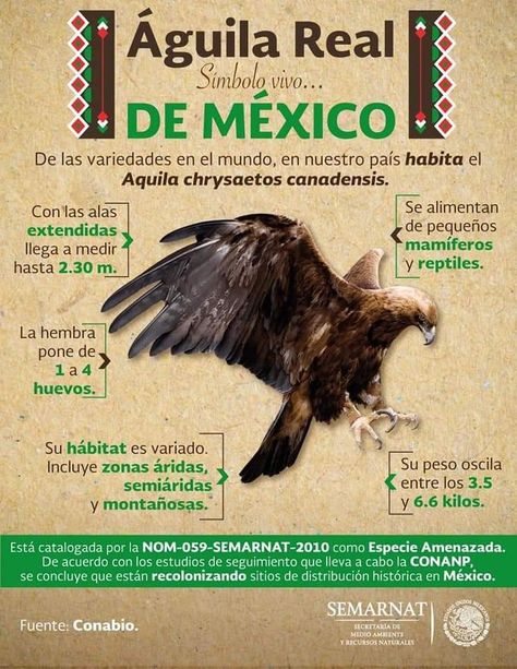 Hispanic Heritage, Bird Perch, Ecology, Animals And Pets, Birds, Animals