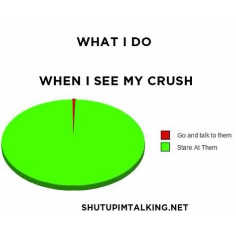 I just love this so much because it's true :) When I See My Crush, Crush Problems, Crush Quotes For Him, Apps For Teens, Secret Crush Quotes, Crush Humor, Crushing On Someone, Crush Memes, Psychology Fun Facts