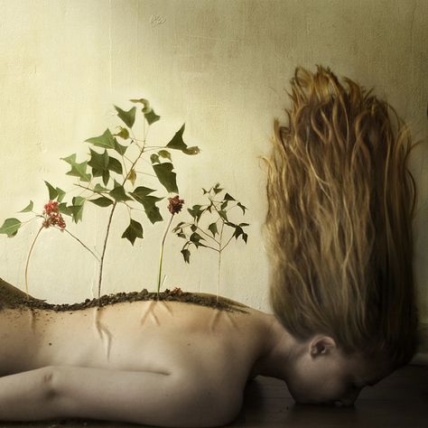 compose:decompose Evolution Photography, Growth Photography, Brooke Shaden Photography, Brooke Shaden, Surreal Photography, Inspiring Artwork, Growth And Decay, Wood Nymphs, Conceptual Photo