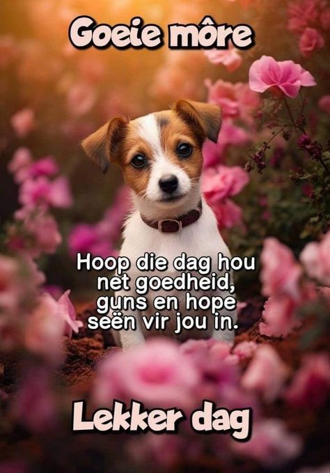 Slim Quotes, Wallpaper Puppy, Cute Owl Drawing, Lekker Dag, Russel Terrier, Cute Dog Wallpaper, Flowers Quotes, Puppy Wallpaper, Good Morning Quote