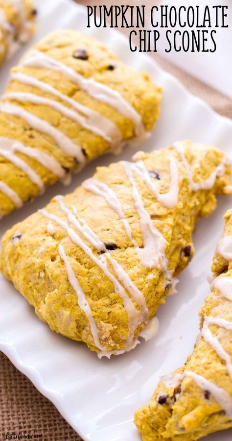 These Pumpkin Chocolate Chip Scones are packed with pumpkin puree, pumpkin pie spices, and sweet chocolate chips! Plus, these homemade pumpkin scones are topped with a cinnamon vanilla glaze! One of my favorite easy fall recipes of all time! #pumpkin #breakfast #recipe #dessert #fall #scones #pumpkinscone Orange Scones Recipe, Puree Pumpkin, Chocolate Chip Marshmallow Cookies, Chocolate Chip Scones, Pumpkin French Toast, Pumpkin Chocolate Chip Bread, Pumpkin Scones, Easy Autumn Recipes, Pumpkin Chocolate Chip