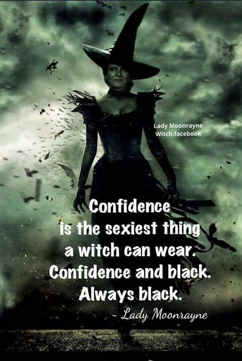 Witch Pics, Voodoo Witch, Witch Funny, Witch Pictures, Witch Quotes, Wiccan Magic, Witchcraft Spell Books, Memes Sarcastic, Season Of The Witch