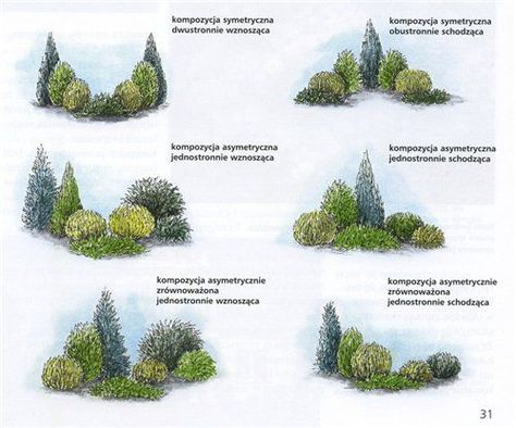 Evergreen Landscape, Conifers Garden, Evergreen Garden, Privacy Landscaping, Longwood Gardens, Front Landscaping, Garden Design Plans, Have Inspiration, Outdoor Gardens Design