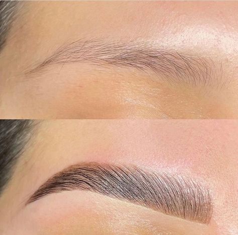 Eyebrow Goals, Eyebrows Goals, Brow Studio, Hd Brows, Beauty Therapist, Brow Lift, Brow Lash, Natural Eyebrows, Beauty Therapy