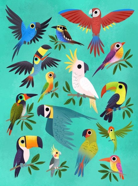 Mini Tela, Birds Illustration, Tropical Bird, Tropical Birds, Bird Drawings, Bird Illustration, Best Ideas, Animal Illustration, Bird Art