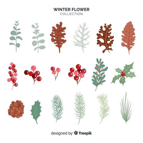 Winter flower collection | Free Vector #Freepik #freevector Mug Noel, Christmas Wreath Bows, Christmas Pine Cones, Winter Leaves, Christmas Plants, Leaf Illustration, Winter Illustration, Winter Watercolor, Winter Plants