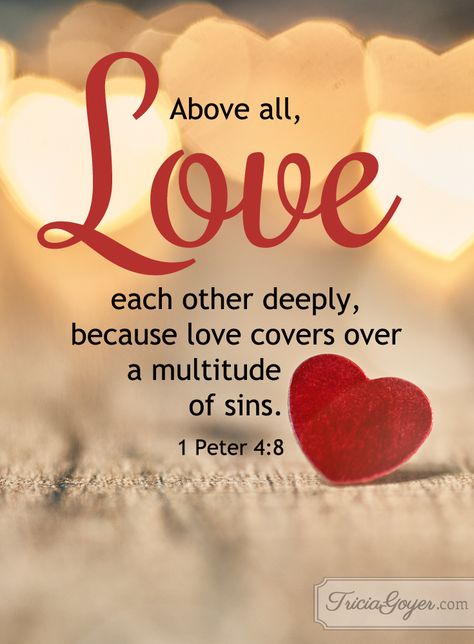 1 Peter 4:8 (NKJV) ~~ And above all things have fervent love for one another, for “love will cover a multitude of sins.”  ~~ Love Each Other Deeply | 1 Peter 4:8 Love One Another Quotes, Vertrouw Op God, 1 Peter 4 8, Love Cover, Bible Love, Ayat Alkitab, Biblical Quotes, Inspirational Bible Verses, Favorite Bible Verses