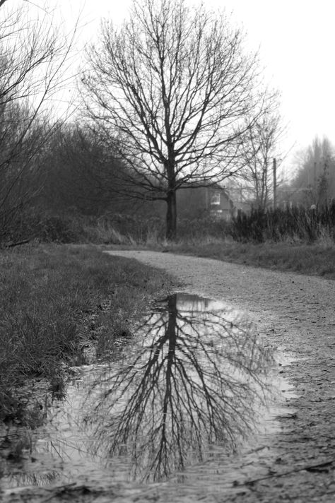 Distorted Nature Photography, Distortion Photography Landscape, Light And Dark Photography A Level, Environment Photography Landscape, Power Photography Gcse, A Level Photography Themes, Regeneration Photography, Places And Spaces Gcse Photography, Puddle Photography