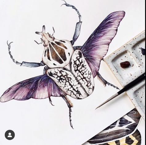 Beetle Drawing, Goliath Beetle, Insect Illustration, Watercolor Pencil Art, Art Studio Design, Copic Art, Work Online, Watercolor Sketchbook, Insect Art