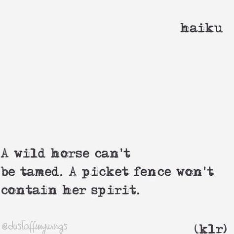 "Wild Horse" haiku poem poems poetry klr quotes Haiku Poem, Haiku Poems, Typed Quotes, Wild Horse, Wild Horses, Poetry, Horses, Quotes, Quick Saves