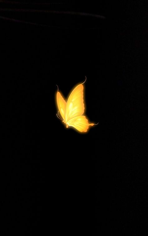 NSB sujon YouTube channel Butterfly Png Editing, Glowing Butterfly Png, Light Png Hd, Pink Moon Wallpaper, Moon Stars Art, Black And Purple Wallpaper, Victorian Vases, Camera Cartoon, Desktop Background Pictures