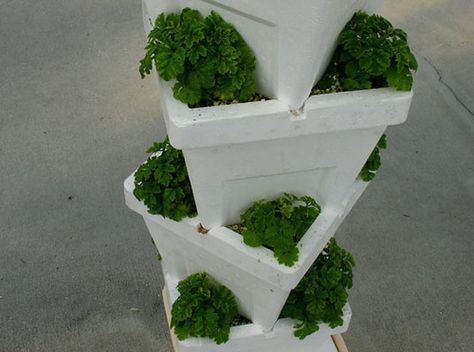 Styrofoam in Epcott Sustainable Agriculture Exhibit | Flickr - Photo Sharing! Styrofoam Cooler Crafts, What Is A Blog, Edible Landscape, Styrofoam Crafts, Cooler Ideas, Epcot Center, Mickey Pumpkin, Eco Architecture, Tower Garden