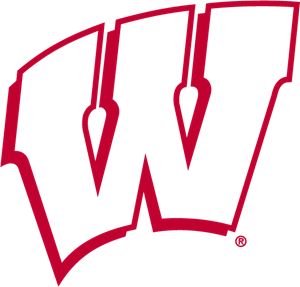 Wisconsin Svg Free, Badgers Logo, Pinterest Contest, Uw Madison, Wisconsin Badgers, Premium Logo, Png Vector, Svg Free, Painted Rock