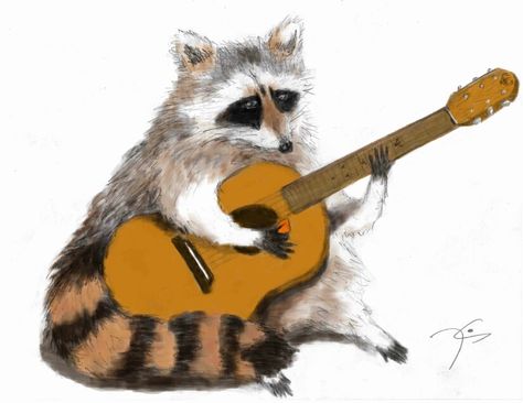 Raccoon playing classical guitar with a pick. Raccoon With Guitar, Raccoon Tattoo Ideas, Animal Playing Guitar, Raccoon Playing Guitar, Raccoon Tattoo, Guitar Illustration, Raccoon Art, Guitar Drawing, Pet Raccoon