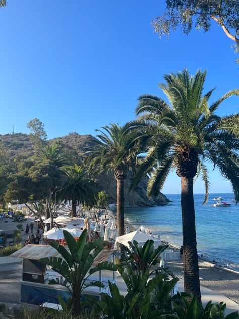 Catalina Island Aesthetic, Things To Do In California, Island Aesthetic, Santa Catalina Island, Picture Places, Ocean Pictures, Santa Catalina, I Love The Beach, Catalina Island