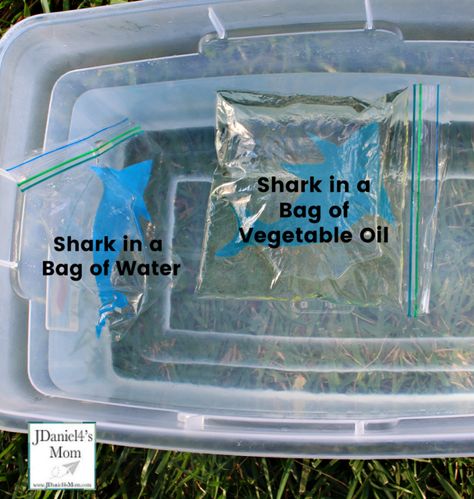 STEM Shark Activities for Kids - How Do Sharks Float? Shark Science Fair Project, Shark Experiments For Kids, Shark Science Experiments For Kids, Shark Experiment, Shark In The Park Activities Eyfs, Shark Activities For Kids, Shark Science, Shark Activities, Ocean Theme Preschool