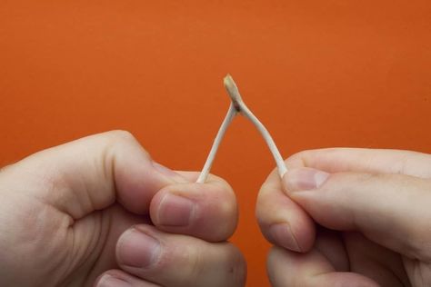 15 Spiritual Meanings of Wishbone - More Than Luck Wishbone Tattoo, Entrepreneur Magazine, Move In Silence, Tuning Fork, Create Your Own Business, December Holidays, 12 Tomatoes, Thanksgiving Traditions, Cooked Chicken