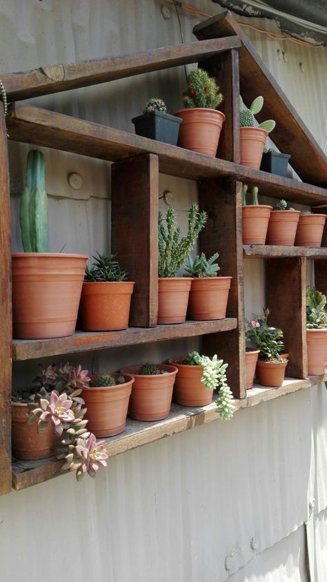 Garden Shelves, Backyard Greenhouse, Garden Deco, Courtyard Garden, Garden Cottage, Back Garden, Small Gardens, Raised Garden, Small Garden