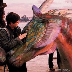 Hippocampus Percy Jackson, Kelpie Horse, Rainbow Gif, Percy Jackson Movie, American Mcgee’s Alice, Sea Of Monsters, Fox Home, Percy And Annabeth, Unicorns And Mermaids