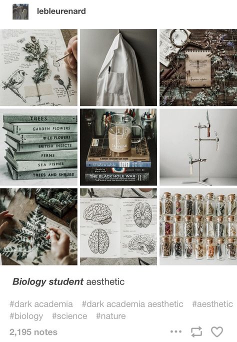 Biology student study studying aesthetic science medicine plants herbs drawing nature medic motivation dark light academia Dark Academia Science, Herbs Drawing, Aesthetic Biology, Medicine Motivation, Aesthetic Science, Medicine Plants, Plants Science, Easy Butterfly Drawing, Easy People Drawings