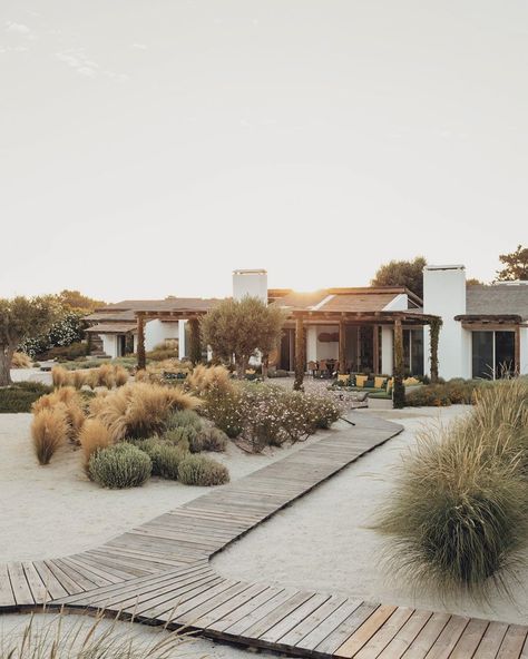 ARCHITECTURE DESIGN on Instagram: “Hopscotch | Antonio Costa Lima |Comporta, Portugal 🇵🇹 📷| @francisconogueira” Mykonos Villas, Peace And Serenity, Weekend House, Desert Landscaping, Ranch House, Walkway, Puglia, Summer House, Landscape Architecture