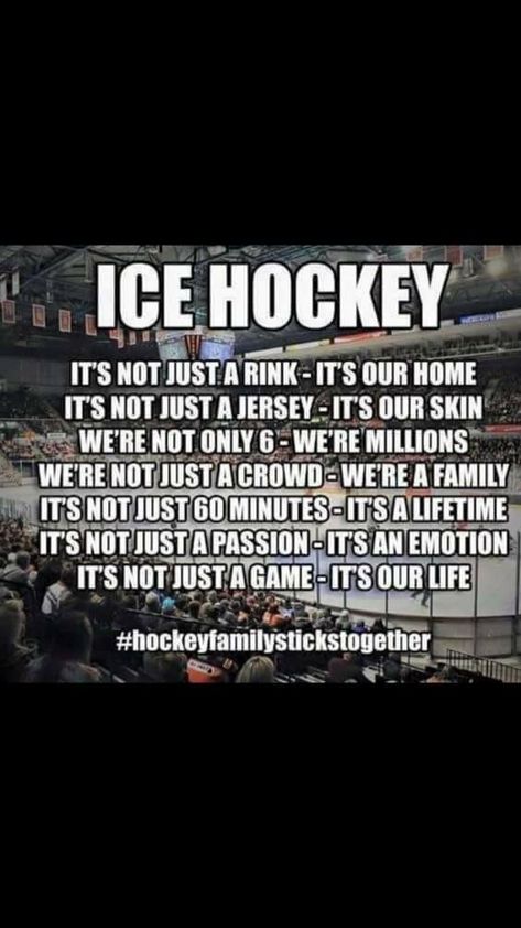 Ice Hockey Quotes, Hockey Bedroom, Hockey Girlfriend, Hockey Art, Hockey Room, Hockey Tournaments, Funny Hockey, Hockey Quotes, Hockey Pictures