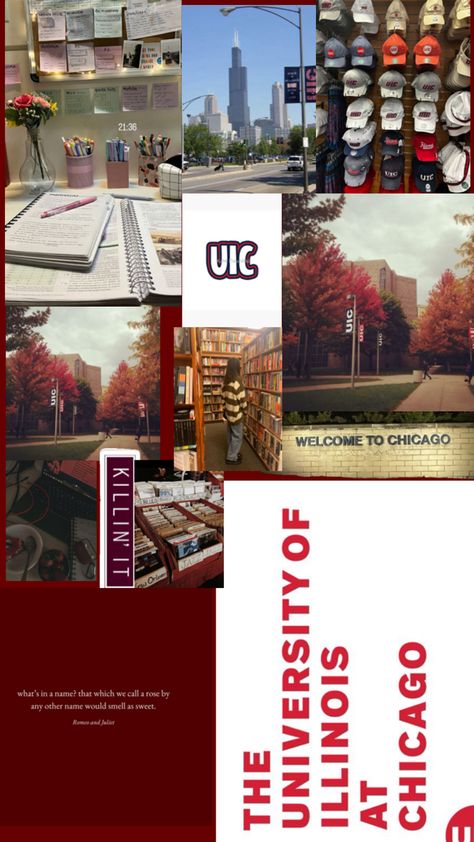 University Of Illinois At Chicago, Illinois Chicago, University Of Chicago, University Of Illinois, Dream College, The University Of Chicago, Dream School, Killin It, School Inspiration