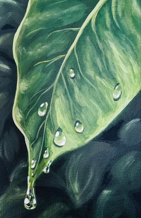 Leaf With Water Drop Drawing, Water Droplets On Leaves, Water Droplets Painting, Waterdrop Painting, Water Droplet Painting, Water Drop Painting, Water Drop On Leaf, Scenery Drawing For Kids, Pencil Drawings For Beginners