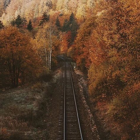 @irynatatarchuk Fall Mood Board, Season Of The Witch, Images Esthétiques, Best Seasons, Autumn Cozy, We Fall In Love, Lombok, Brown Aesthetic, Autumn Aesthetic