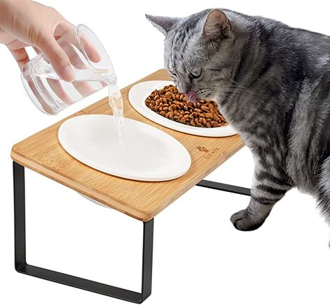 Dog Packing List, Flat Faced Cat, Cat Bowl Stand, Cat Feeding Station, Dog Feeding Bowls, Cat Dishes, Cat Food Bowl, Food Mat, Cat Feeding