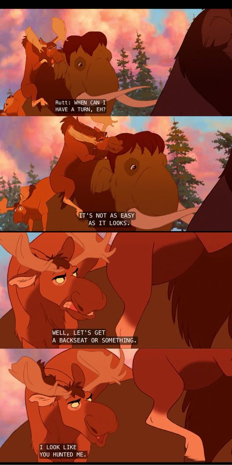 Brother Bear quotes- This movie is so underrated Brother Bear Quotes, Cute Cartoon Quotes, Bear Meme, Bear Quotes, Brother Bear, Real Funny, Funny Bears, Cartoon Quotes, Disney Stuff