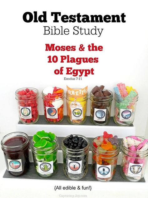 Old Testament Bible Study Moses and the 10 Plagues of Egypt, edible and fun! Capturing-Joy.com Exodus Plagues Craft, Moses Bible Lesson, 12 Plagues Of Egypt Craft, Ten Plagues Activity, Moses Object Lesson, Bible Sensory Activities, Moses And The Plagues Craft, Youth Group Food Ideas, Ten Plagues Craft