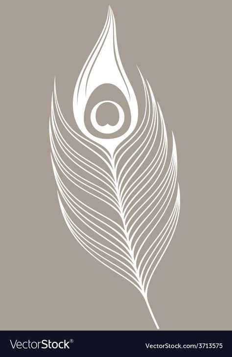 Peacock Feathers Illustration, Peacock Feather Vector Design, Peacock Feather Pattern Design, Peacock Feather Vector, Peacock Feather Drawing, Peacock Vector, Peacock White, Feather Peacock, Peacock Feather Design