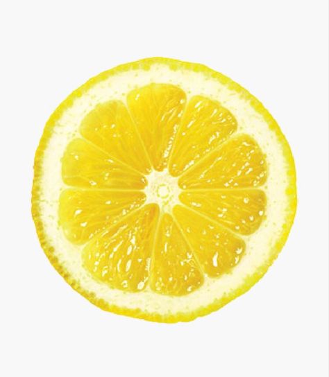 Watercolor Lemon Slice, Round Things To Draw, Lemon Reference, Lemon Slice Painting, Lemon Slice Drawing, Lemon Image, Lemon Texture, Drawing Lemon, Lemon Prints