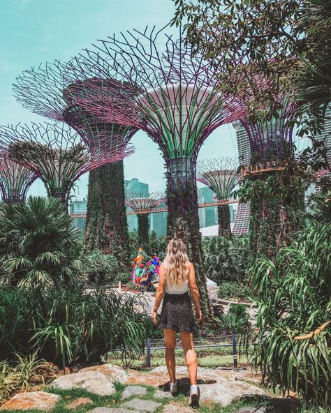 Garden By The Bay Singapore, Singapore Gardens By The Bay, Sarah Maclean, Gardens By The Bay Singapore, Blue Jurassic World, Pink Clouds Wallpaper, Singapore Garden, Visit Singapore, Magic Garden