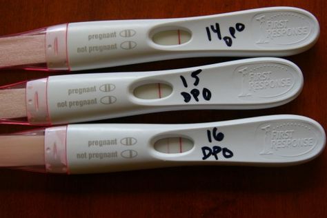 Pregnancy Test Accuracy     A First Response Early Response pink dye test: the test showed a  very faint positive at 14 and 15 days post-ovulation, but developed a stro... 3 Weeks Pregnant Symptoms, Faint Positive Pregnancy Test, Early Pregnancy Test, Home Pregnancy Test, Positive Pregnancy Test, Fertility Diet, Pink Dye, Pregnancy Information, First Response