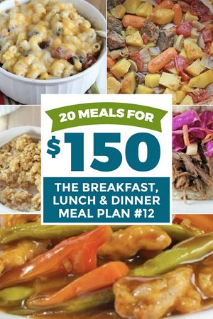 20 Meals for $150 - The Breakfast, Lunch, Dinner Plan - Erin Chase Store Frugal Meal Planning, Freezer Cooking Recipes, Freezer Meal Planning, Budget Family Meals, Recipe List, Freezer Meal Prep, Slow Cooker Dinner, Baked Salmon Recipes, Dinner Plan