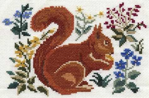 Squirrel Cross Stitch Squirrel Cross Stitch, Blackbird Designs, Stitch Sampler, Cross Stitch Bird, Cross Stitch Samplers, Cross Stitch Animals, Free Machine Embroidery, Cross Stitch Kits, Embroidery And Stitching