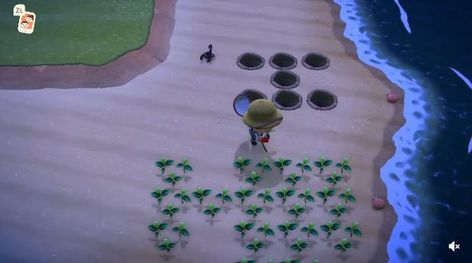 Save data backups, Dream suite, Vegetable progress found in the Summer update for Animal Crossing Data Backup, Animal Crossing, Video Games, Animals, Video Game