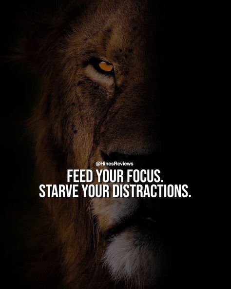 Too many people have the problem with getting distracted if you can manage to stay focused that will make all the difference. Business men know how to stay focused and don't get too distracted that's why most people can't keep up with them! Focus On Career Quotes, Discipline Quotes Stay Focused, Distraction Quotes Stay Focused, Stay Focused Wallpaper, Distracted Quotes, Lion Memes, Distraction Quotes, Stay Focused Quotes, Focus Focus Focus