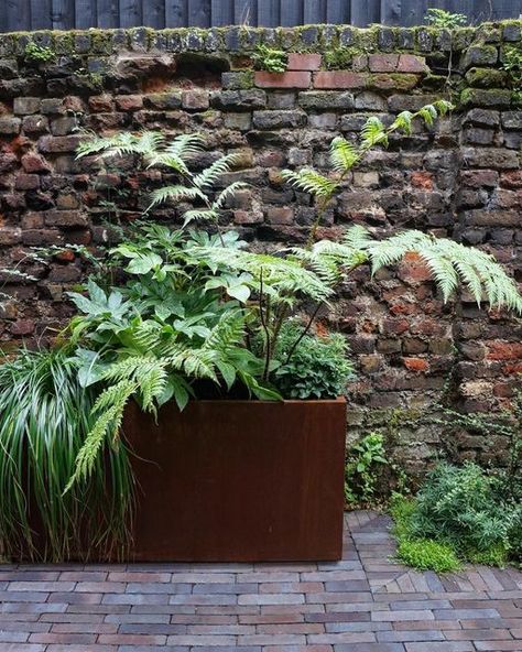 Container Courtyard Garden, Corten Steel Raised Beds, Corten Garden, Brick Wall Gardens, Toad Hall, Brick Planter, Garden Troughs, Alexander Pushkin, Garden Details