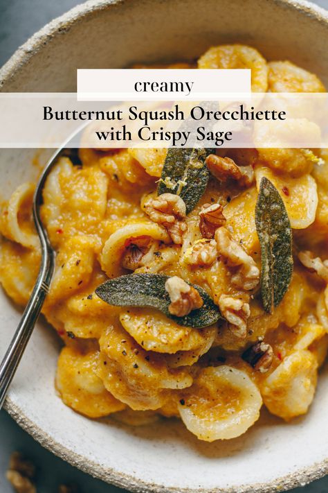 Orecchiette Pasta Recipes, Orecchiette Recipes, Butternut Squash Sage, Squash Sauce, Butternut Squash Sauce, Creamy Butternut Squash, Fall Cooking, Tasty Baking, Winter Squash