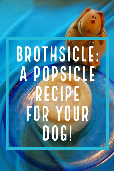 brothsicle popsicle recipe for your dog Pup Popsicles, Dog Popsicles Recipe, Dog Popsicles, Dog Homemade, Encourage Him, Pet Treats Recipes, Easy Dog Treat Recipes, Make Dog Food, Frozen Dog Treats