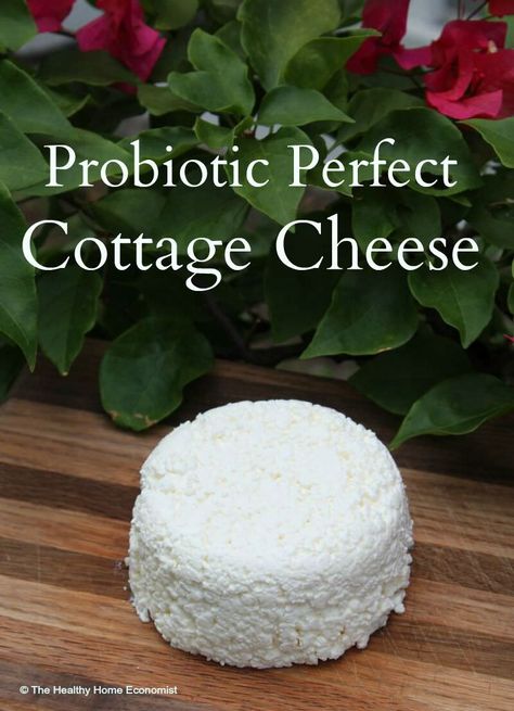 Instructions for handcrafting cottage cheese the way it was meant to be enjoyed - with all probiotics, enzymes and beneficial fats still intact. Cheese Recipes Homemade, Cheese Making Recipes, Queso Cottage, Diy Cheese, Kefir Recipes, Cottage Cheese Recipes, Food Thermometer, Probiotic Foods, Homemade Cheese