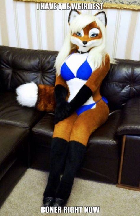 Fire foxy Female Fursuit, Fantasy Play, Zootopia Art, Animal Costumes, Fnaf Characters, Funny Pictures, Pokemon, Fox, Character Design