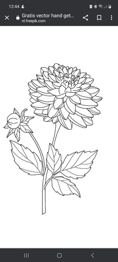 Dahlia Drawing Sketches, Dahlia Line Drawing, Dahlia Line Art, Dahlia Drawing Simple, Simple Dahlia Tattoo, Dalia Flower Drawing, Dalia Flower Tattoo, Dahlia Stencil, Dahlia Sketch