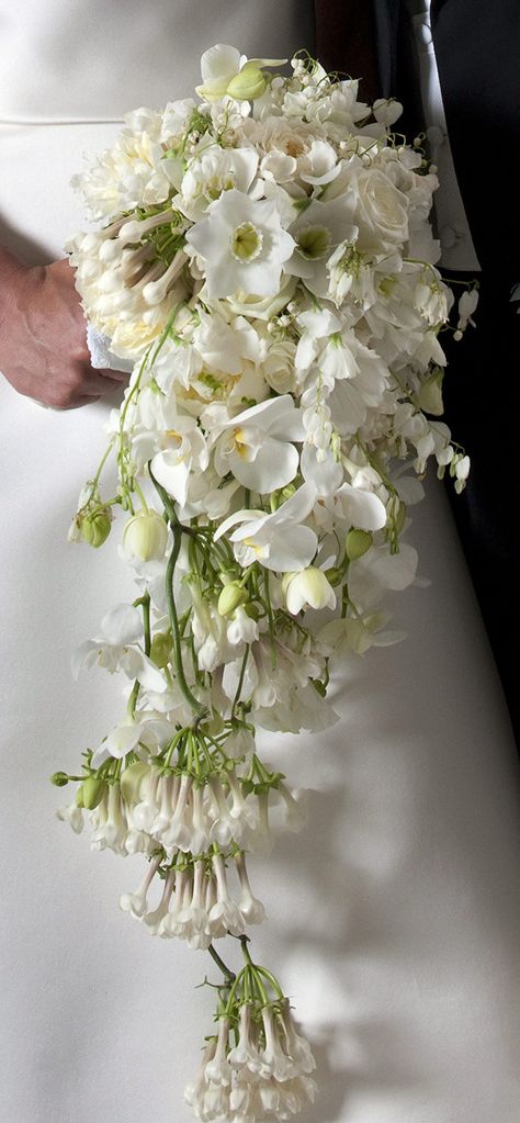 .The Crown Princess´s bridal bouquet includes the following flowers: lily of the valley, rose, phalaenopsis orchid, peony, clematis, cosmos, wax flower, sweet pea, dicentra formosa, Mårbacka pelargonium, Amazon lily, gardenia, azalea, bleeding heart and the traditional myrtle from Sofiero. Amazon Lily, Flowers Lily, Winter Wedding Bouquet, Wax Flower, Victoria Wedding, Bridal Shower Tables, Cascade Bouquet, White Wedding Bouquets, Wax Flowers