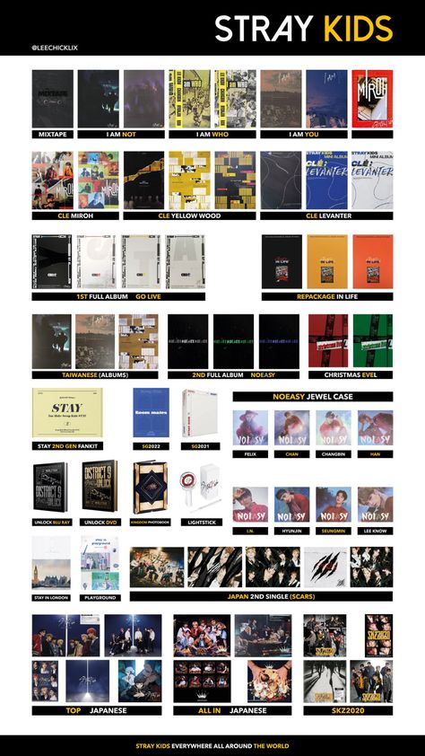 Stray Kids Album Template, Stray Kids Album, Album Template, Photo Card Template, Life Poster, Celebrity Look Alike, Dump A Day, Celebrity Style Red Carpet, Jewel Case